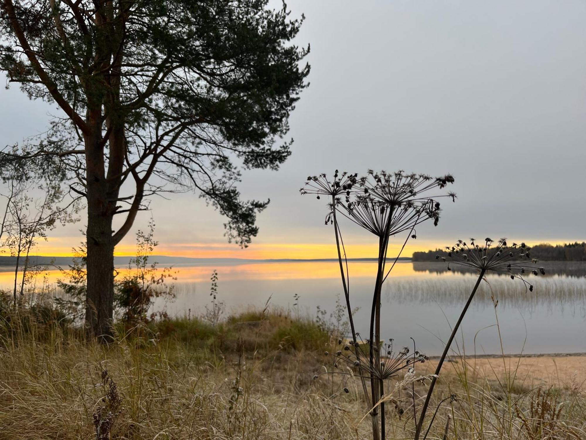 Ahosen Lomamoekit Vikajärvi Exterior foto