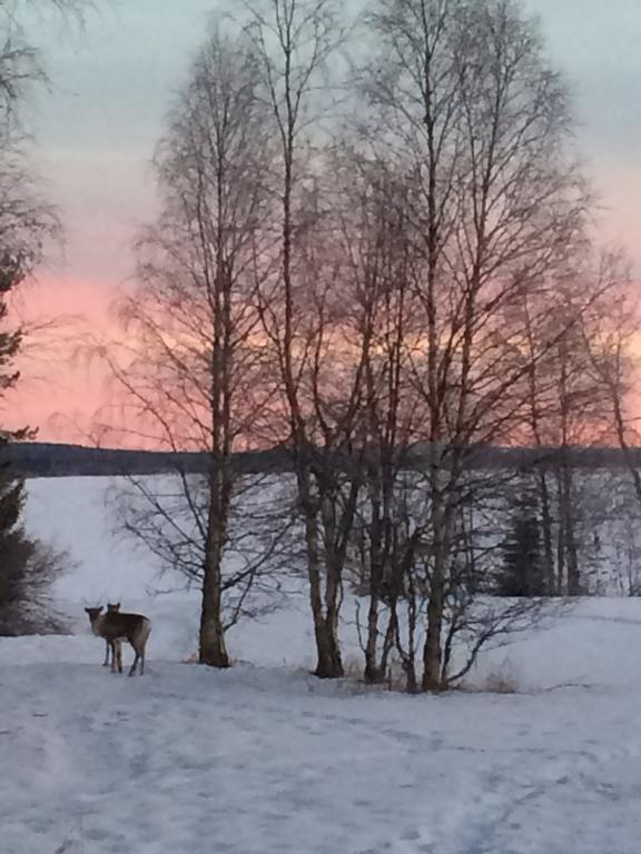 Ahosen Lomamoekit Vikajärvi Exterior foto